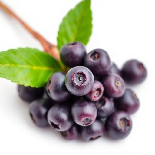 Bacche di Açaí